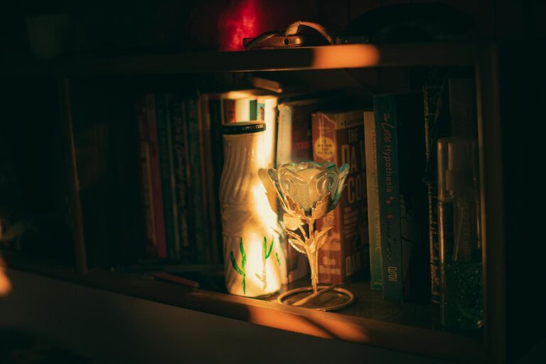 Tips for Creating a Cozy Reading Nook in Your Home